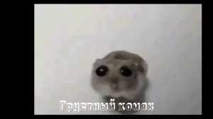 САМЫЕ ПОПУЛЯРНЫЕ МЕМЫ 2024 ГОДА | ТОП 10