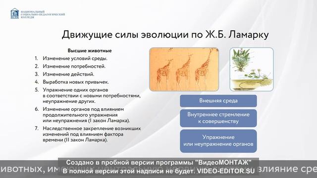 Теория эволюции Ж. Б. Ламарка смотреть онлайн