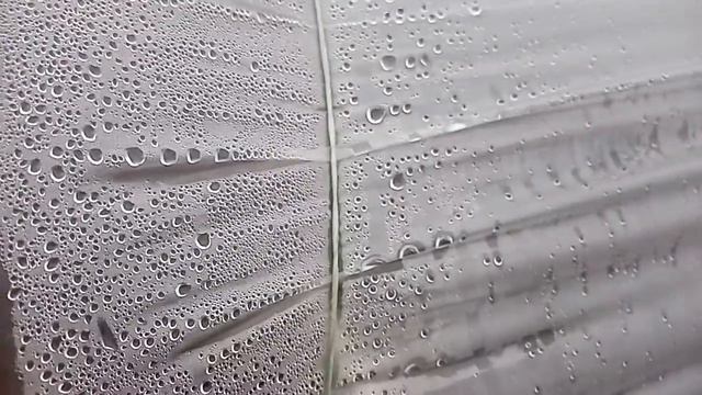 Обработка клубники перед заморозками смотреть онлайн