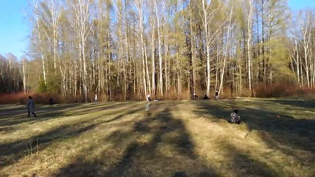 Интуиция: это когда голова правильно понимает что чувствует Ваша попа