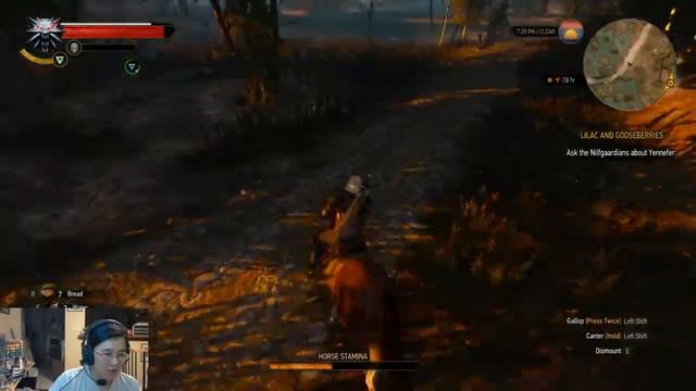 Let's Chill The Witcher 3 Part 4: Griffin Woes смотреть онлайн