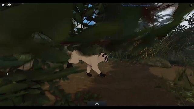 Коты воители прощание Саши WarriorCats Roblox