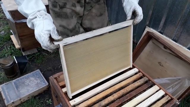 Как выбрать качественную вощину без примесей смотреть онлайн