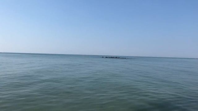 Приморск 01.08.2021 Азовское море Отдых на пляже б/о Радуга.Чистое и тёплое море,медуз нет, шум мор смотреть онлайн
