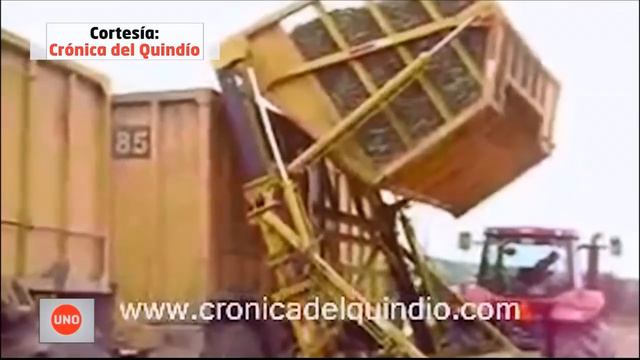 Investigan a quienes hayan entregado hacienda del capo Ledher a ingenio azucarero смотреть онлайн