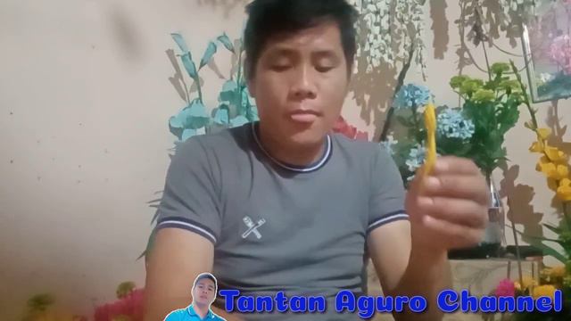 Diy Gladioli Flowers | step by step tutorial смотреть онлайн