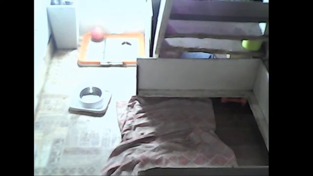 Щенки голубого французского бульдога смотреть онлайн