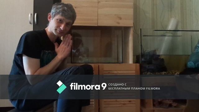 Запуск аквариума. Начало смотреть онлайн