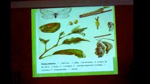 Как защитить сад от вредителей. Лекция. смотреть онлайн
