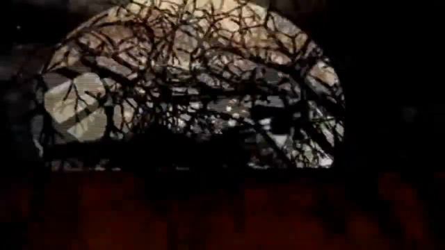 Happy Witchy Halloween ! смотреть онлайн