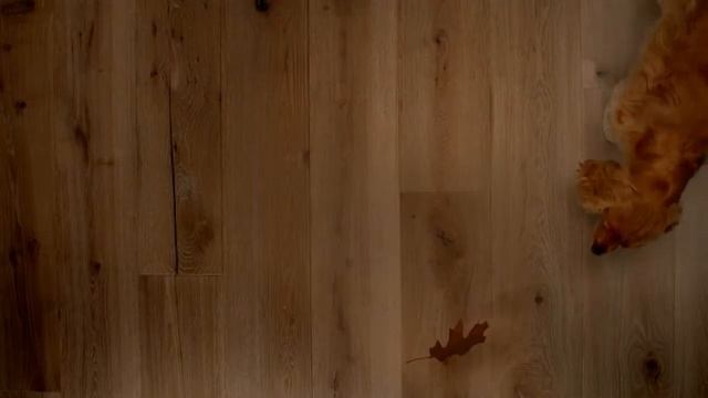 Паркетная доска Quick-Step смотреть онлайн