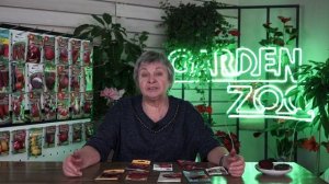 Какую свеклу посадить ✔️ Лучшие сорта свеклы ✔️