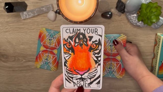 Animal Apothecary Oracle Deck Unboxing & Flip Through смотреть онлайн