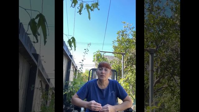 Этим людям правду говорить нельзя смотреть онлайн