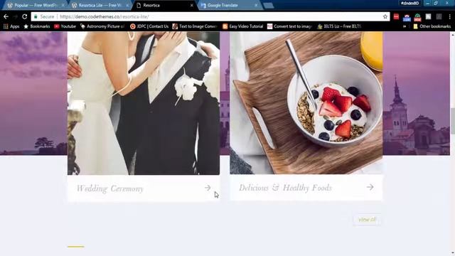 Resortica Lite Hotel Resort WordPress Theme Review With Download Link смотреть онлайн