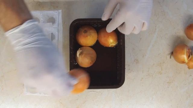 Как посадить лук на зелень на подоконнике ? Лук на перо в домашних условиях смотреть онлайн