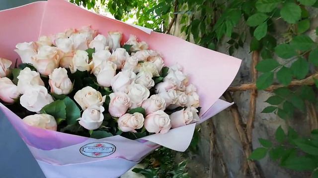 МЕТРОВЫЕ РОЗЫ ПРОИЗВОДИТЕЛЬ ГОЛЛАНДИЯ - 51 РОЗА С ДОСТАВКОЙ - ЗАКАЗАТЬ СВЕЖИЕ РОЗЫ ДНЕПР смотреть онлайн