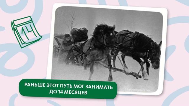 САМАЯ ДЛИННАЯ ЖЕЛЕЗНАЯ ДОРОГА В МИРЕ смотреть онлайн