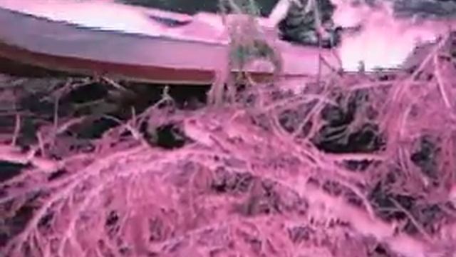 "Казанка" рулит!!! смотреть онлайн