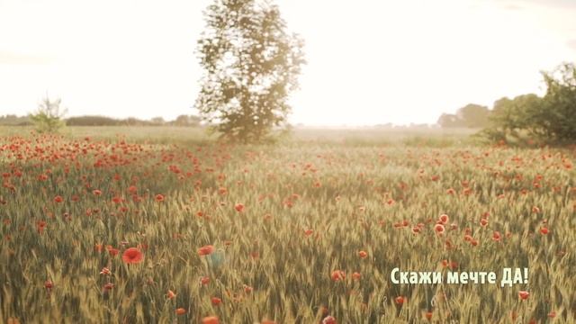 Сильнейшая медитация - Скажи своим желанием ДА! смотреть онлайн