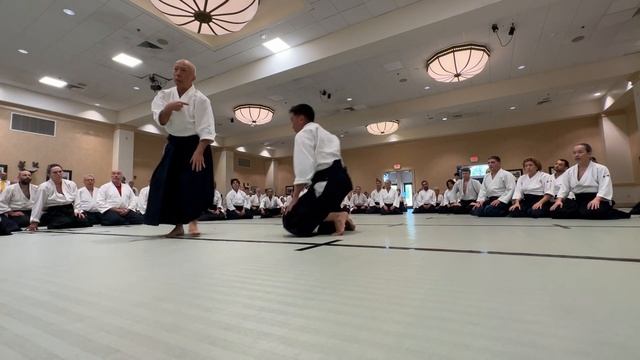 "I finally realized how to train based on O’Sensei’s teachings," says Hayato Osawa Sensei смотреть онлайн