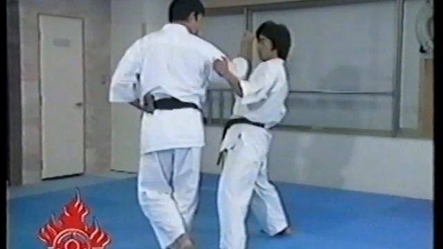 Ката - пособие по изучению. Часть 2. смотреть онлайн