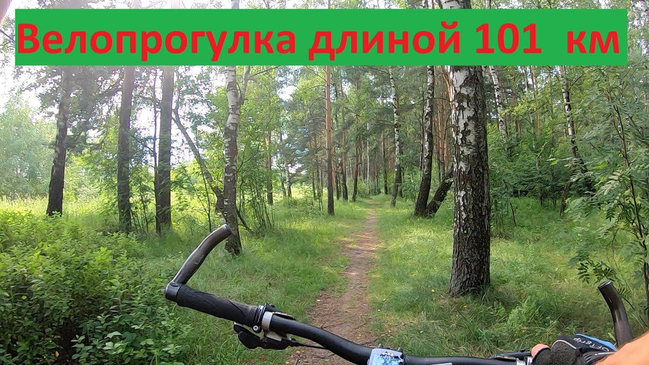 Орехово-Зуево до Реутово на велосипеде | Маршрут 101 км по Подмосковью