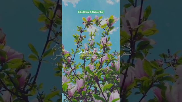 Quran Recitation #quran #quranrecitation #quranismylife #quranicvibes #islamicvideos #quranvideos ❤ смотреть онлайн