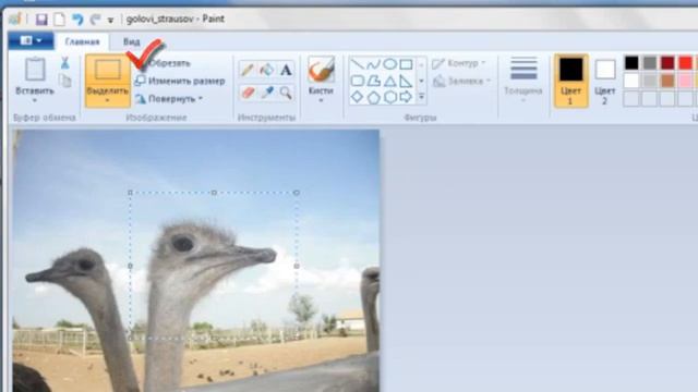 Paint_Обзор графического редактора.