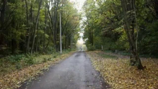 проект Бунин