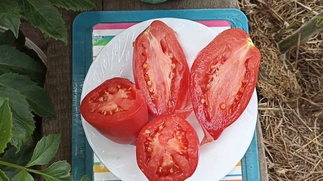 Сибирь. Обзор и дегустация томатов Минусинские стаканы. смотреть онлайн