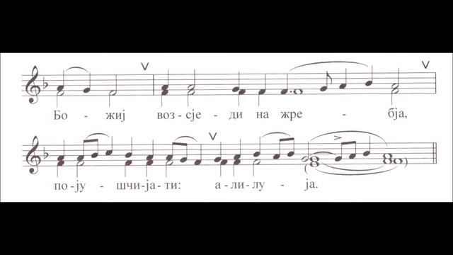 Цвети, 2. антифон