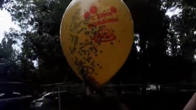 Поздравление для Валерия Меладзе смотреть онлайн