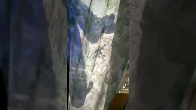 Тик ток и мама смотреть онлайн