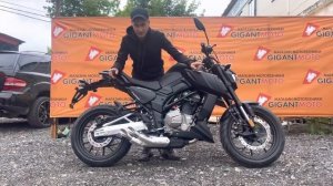 Мотоцикл REGULMOTO ALIEN MONSTER 300cc.