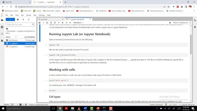Data Science Fundamentals (Intro to Python, Running Jupyter Lab, Working with cells) Lecture 2 смотреть онлайн