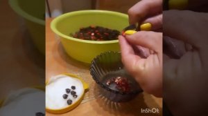 Выращиваем Магнолию из семян.#магнолия#tagetes #садогород