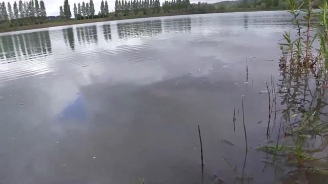 Panama Jack a l'eau - démo Lisa смотреть онлайн