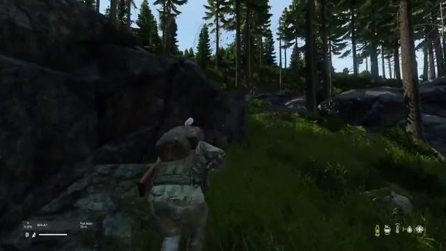 DayZ(PS4) Community Servers смотреть онлайн