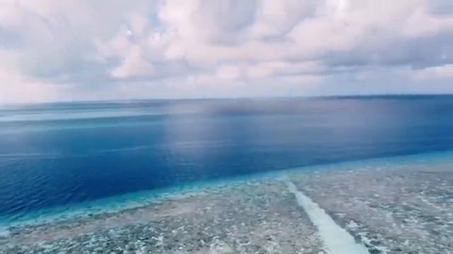 Plumeria Maldives 2020