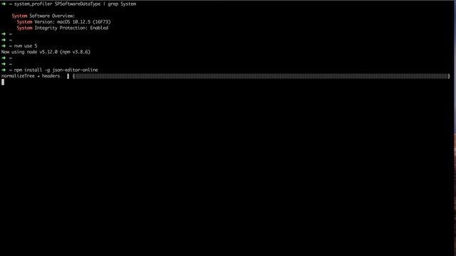 npm command line tool for json editor online, demo in macOS 10.12.5 (16F73) смотреть онлайн