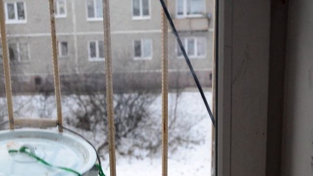 Кормушка из тыквы - вариант 1, мини. смотреть онлайн