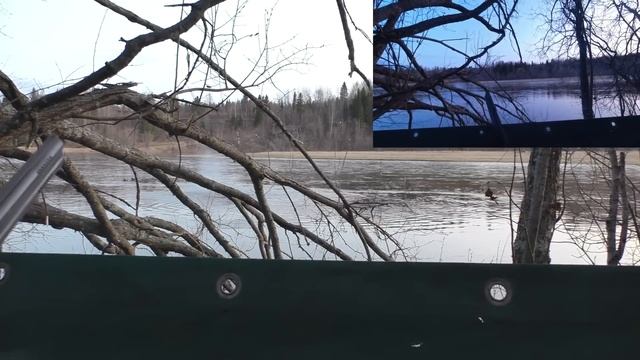 ОХОТА НА УТКУ ИЗ УКРЫТИЯ С ЧУЧЕЛАМИ / ПРОГРЕСС! УДАЧНАЯ УТРЯНОЧКА / ЖИЗНЬ НА КРАЙНЕМ СЕВЕРЕ КОМИ. смотреть онлайн