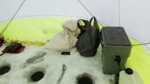 Небольшой обзор - рыбалка на Салтаиме 2023 - 2024