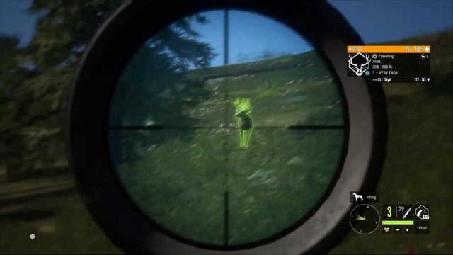 How to Stack CASH FAST 2023!!! | thehunter: call of the wild смотреть онлайн