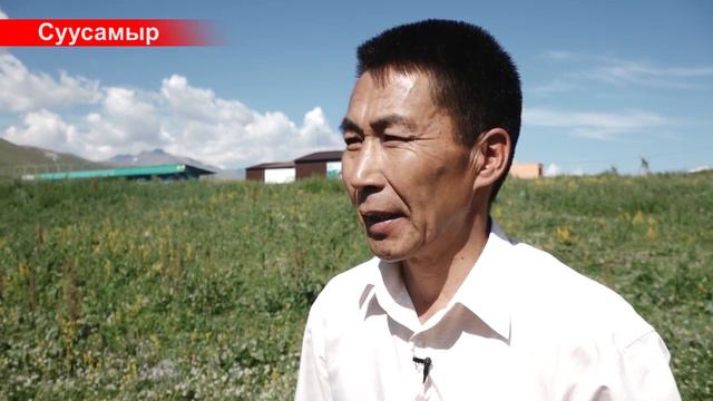 Борьба с сорняками на пастбищах смотреть онлайн