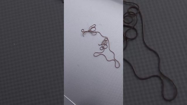 Конский волос выловленный в Обском водохранилище смотреть онлайн