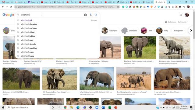 How to make a Virtual Zoo in Code.org, App Lab | English | Code.org | App Lab смотреть онлайн