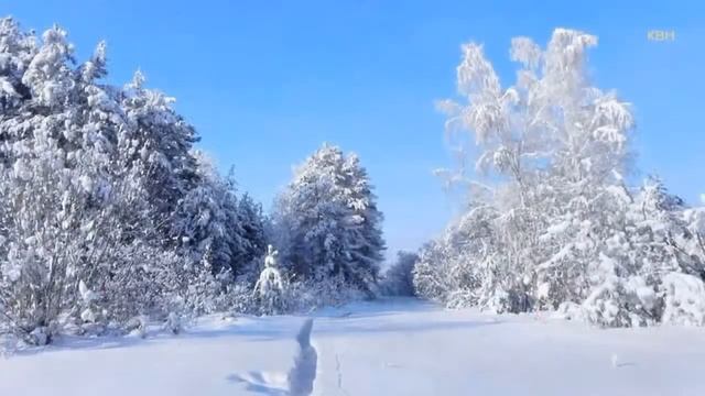 #НОСТАЛЬГИЯ# `НА БЕЛОМ ПОКРЫВАЛЕ ЯНВАРЯ` mp4 смотреть онлайн