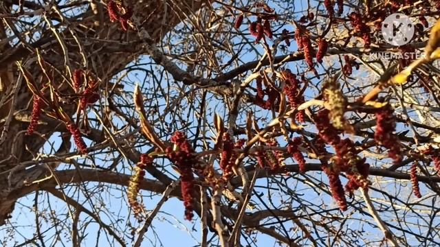 Кристина Мотиватор.Из последних сил доказывает,что живет у Стива и тут же его позорит